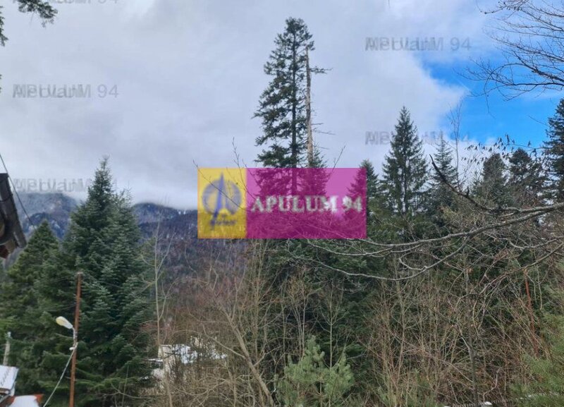 Vila de vanzare in Sinaia - Zona Cumpatu